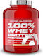 Scitec Nutrition 100% Whey Professional with Added Amino Acids Whey Protein Gluten Free with Flavor Peanut Butter 2.35kg
