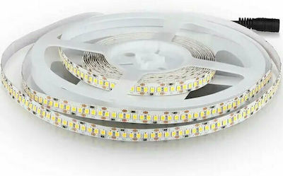 V-TAC Bandă LED Alimentare 12V cu Lumină Alb Rece Lungime 5m și 204 LED-uri pe Metru SMD2835