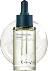 Pyunkang Yul Calming 30ml Pyunkang Yul Calming 30ml