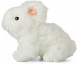 WWF Häschen Hase 20 cm WWF Häschen Hase 20 cm