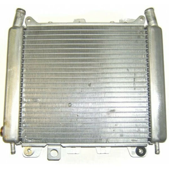 Piaggio Motorcycle Engine Radiator Piaggio Beverly 250
