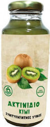 HealthTrade Kiwi Zuckerfrei 250ml 1Stück
