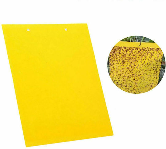 Glue Trap 06325 10pcs