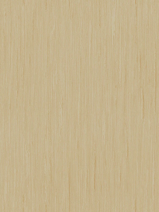 Tapete Vinyl Mocha L1005xB53cm