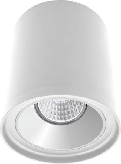 Spot Light Einzel Spot mit Fassung GU10 in Weiß Farbe