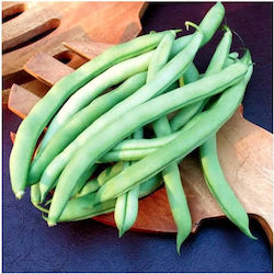 Climbing bean Malibu | 2 kg