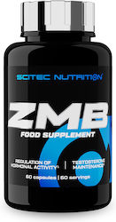 Scitec Nutrition ZMB 60 Mützen