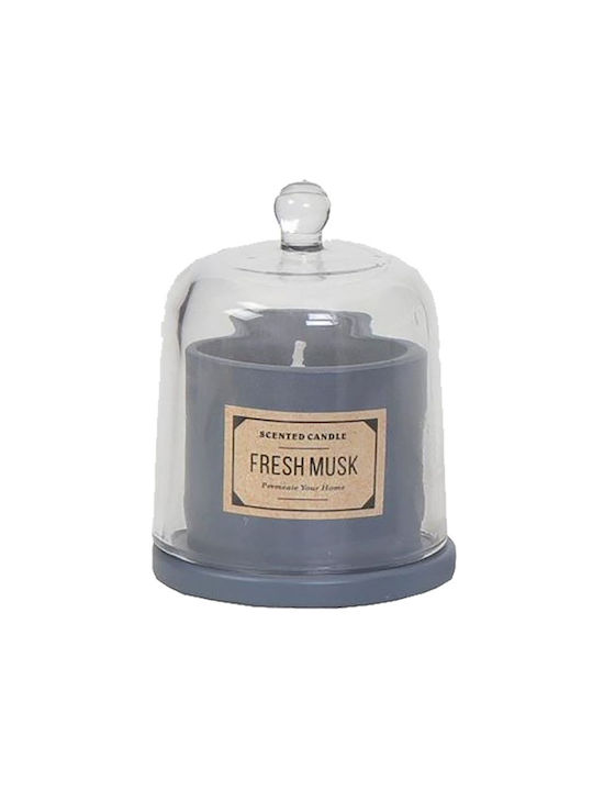 Espiel Αρωματικό Κερί σε Βάζο με Άρωμα Fresh Musk 100gr