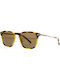 Ted Baker Sunglasses with Multicolour Frame and Brown Lenses TB1633 100
