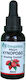 Biogalaxy Tinktur Hagebutte Tinktur 30ml