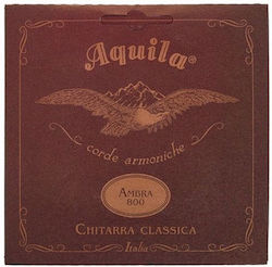 Aquila 82c Ambra 800 Corzi Pentru Chitară Clasică Nylgut Magazín Online