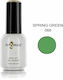 Angelacq Ημιμόνιμο Βερνίκι Νυχιών 068 Spring Green 15ml