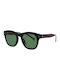 Hally&Son Sunglasses with Black Plastic Frame HS751S 02