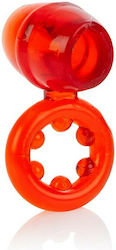 Calexotics Dual Support Magnum Ring Red