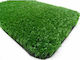 Synthetic Turf in Roll with 1m Width and 7mm Height (price per sq.m)