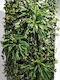 Panou artificial de frunziș Fern 2x2m