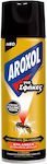 Aroxol Εντομοκτόνο Spray για Κουνούπια / Μύγες / Σφήκες
