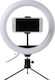 SPM F-260 Ringlicht 26cm mit Schreibtischstativ und Handyhalter