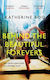 Behind the Beautiful Forevers