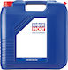 Liqui Moly Marine DFI Boot Öl 2T 20Es