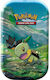 Pokemon Pokémon Pachete Turtwig