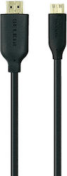 Belkin Cable HDMI male - mini HDMI male 1m Black