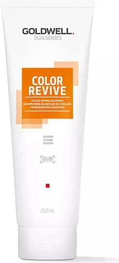 Goldwell Dualsenses Color Revive Sampon De Păr Pentru Păstrarea Culorii Pentru Păr Vopsit 200ml
