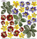 Sospeso Trasparente Wild Flowers Reispapier Decoupage
