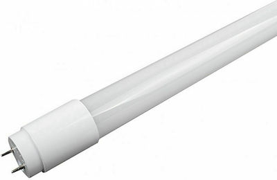 GloboStar Λάμπα LED Τύπου Φθορίου 150cm για Ντουί G13 και Σχήμα T8 Φυσικό Λευκό 2608lm