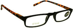 Oramont Oramont 9027 Ochelari De Citit +2.00 În...