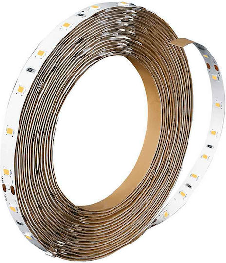Philips LED Strip 24V Cold White Light 5m