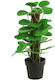 Artificial Plant in Small Pot Multicolour 35cm Atmosphera