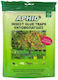 Aphid Παγίδα 10τμχ