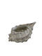 Espiel Übertopf Beton Beige 29x19.5x18εκ. Shell