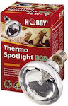 Hobby Thermo Spotlight Eco Accessory for Reptiles Terrarium