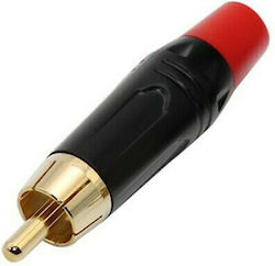Bridgecable XS-P043/R RCA Stecker