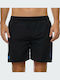 Herren Badebekleidung Bermuda Schwarz