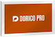 Steinberg Dorico Pro 4 Educational