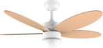 Cecotec EnergySilence Aero 4250 Flow Orange 05985 Deckenventilator 106cm mit Licht und Fernbedienung Orange