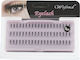 Assim Wefond Eyelash Τουφάκια