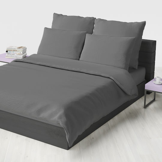 Palatex Baseline Palatex Baseline