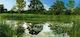 Autocolantă Fototapet de Perete 588x280cm The Magic Pond Iii