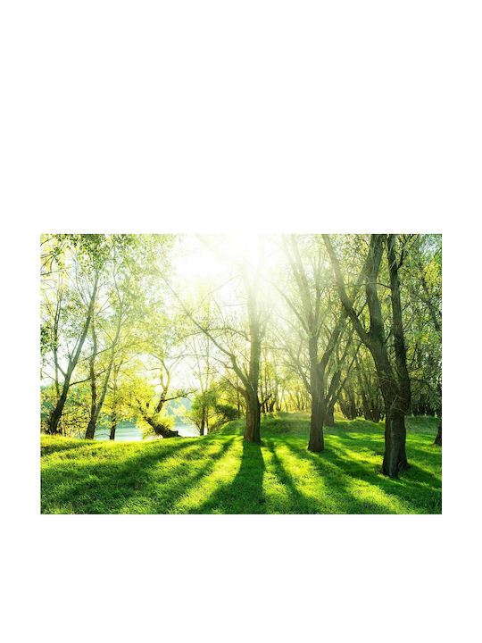 Fototapet de Perete 100x70cm Sunny May Day Tesatura