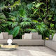 Φωτοταπετσαρία Τοίχου Sunny Jungle Υφασμάτινη 100x70cm