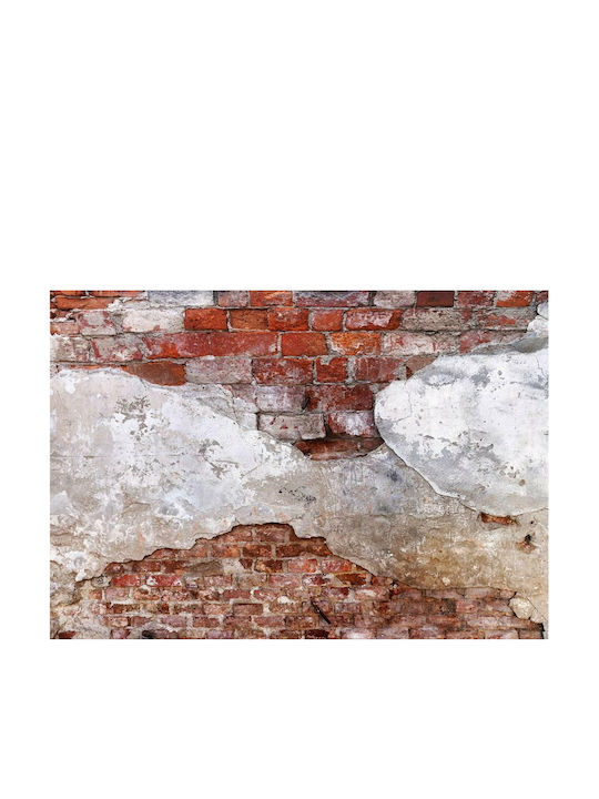 Self-adhesive Wall Mural Spirits of the Past 441x315cm