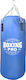 Boxing Pro Boxing Pro Challenger mit Höhe 80cm Blau