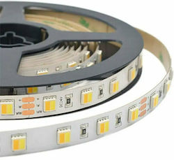 V-TAC LED-Streifen 24V mit Warm zu kühlem Weiß Licht 5m V-TAC LED-Streifen 24V mit Warm zu kühlem Weiß Licht 5m