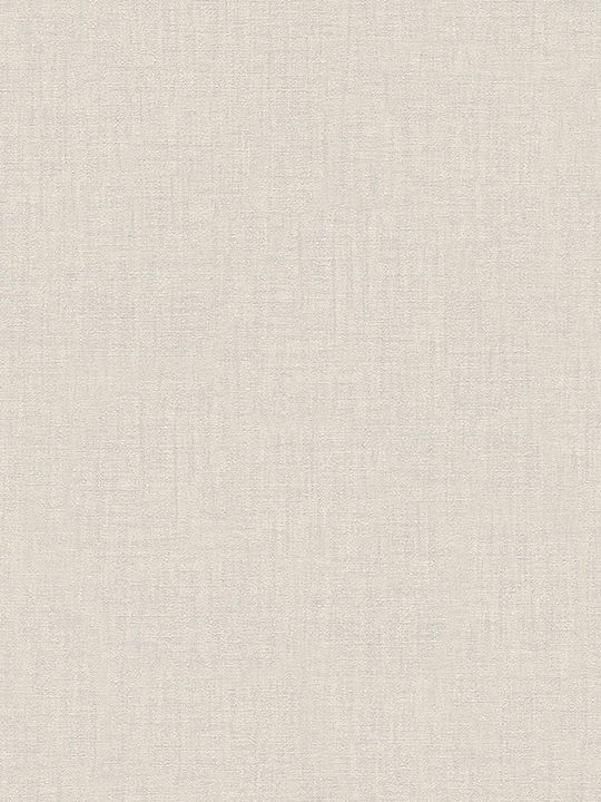 Wallpaper Vinyl Gray L1005xW70cm