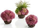 Oase biOrb Coral Ball Decorațiune Plantă artificială Acvariu