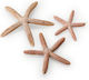 Oase BiOrb Starfish Aquarium Ornament
